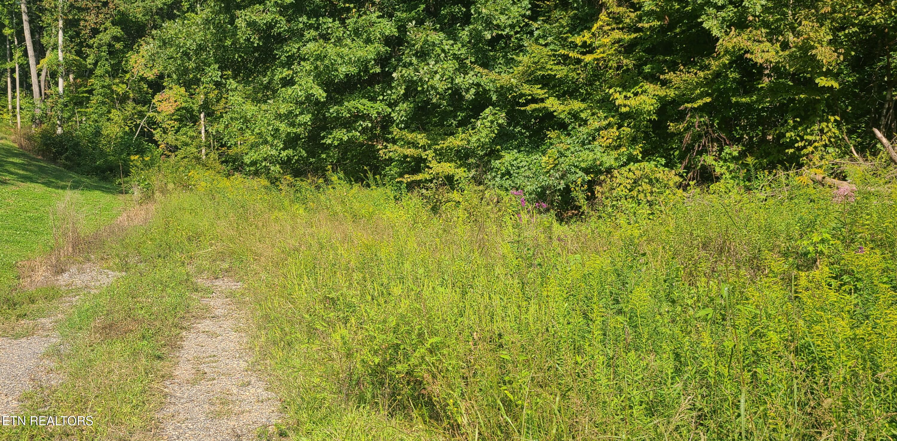 Lot 5 Mel Hall Road Maryville TN 37803