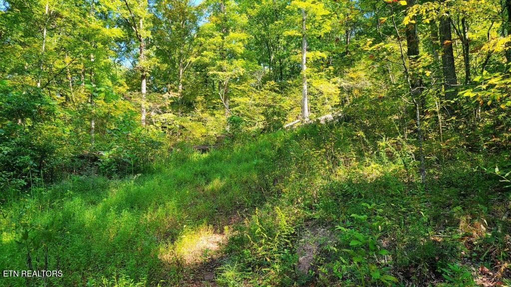 Lot 5 Mel Hall Road Maryville TN 37803