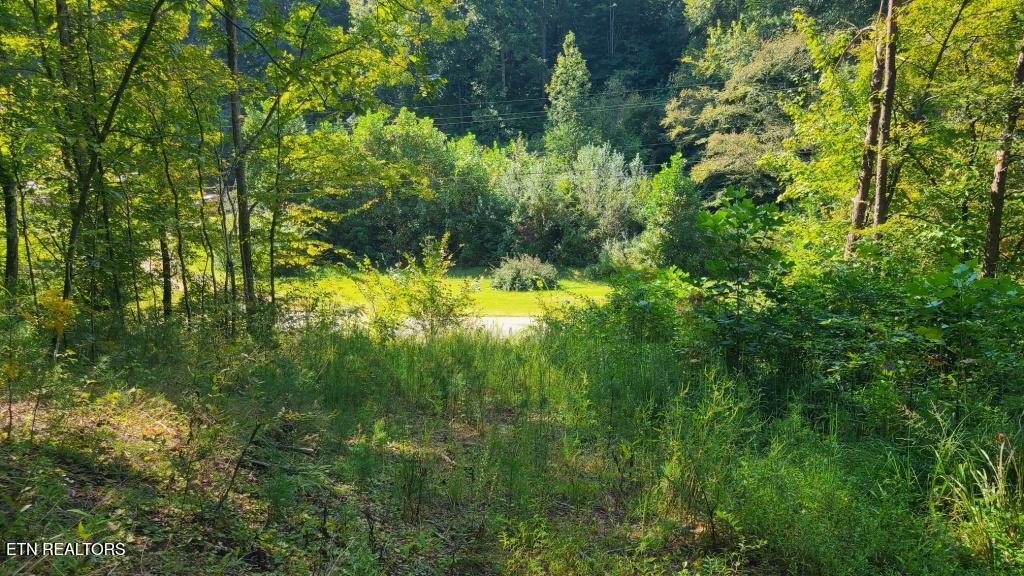 Lot 5 Mel Hall Road Maryville TN 37803