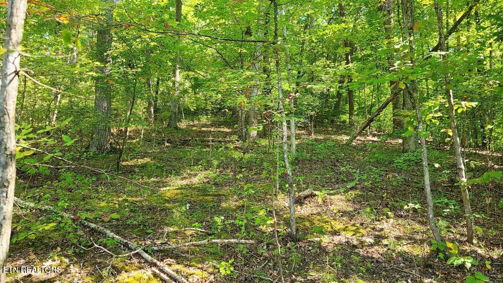 Lot 5 Mel Hall Road Maryville TN 37803