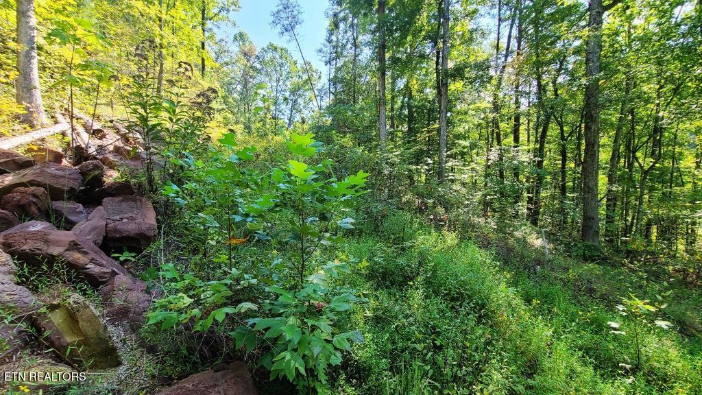 Lot 5 Mel Hall Road Maryville TN 37803