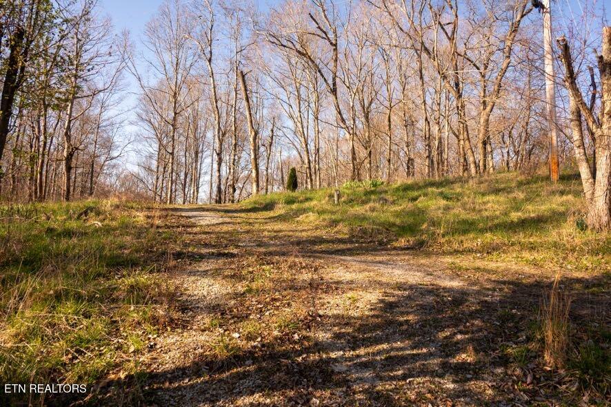 174 Turkeytown Road Hilham TN 38568