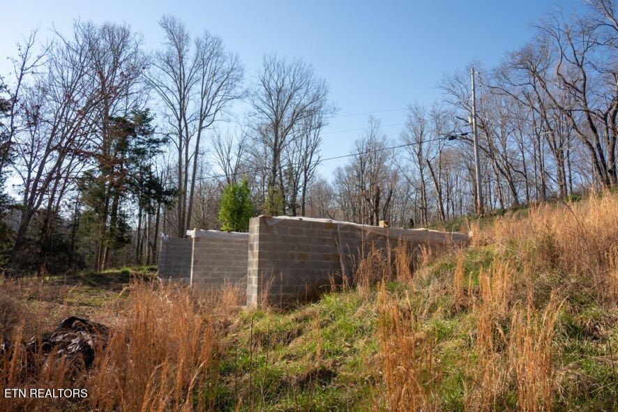 174 Turkeytown Road Hilham TN 38568