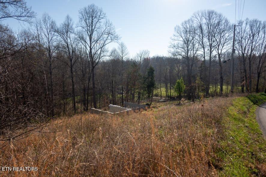 174 Turkeytown Road Hilham TN 38568