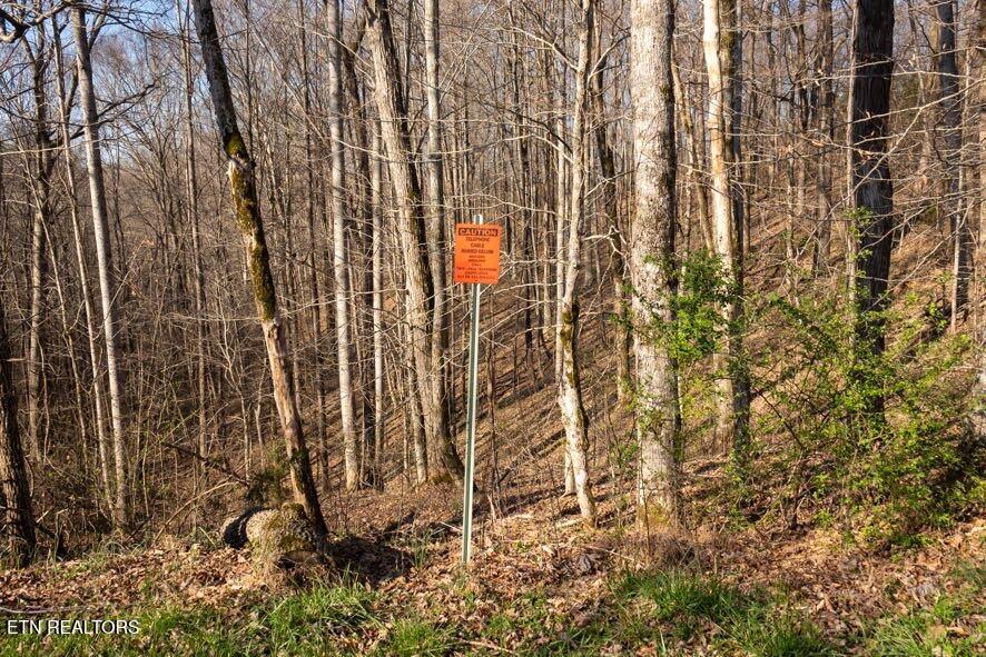 174 Turkeytown Road Hilham TN 38568