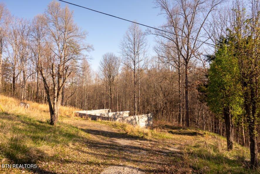 174 Turkeytown Road Hilham TN 38568