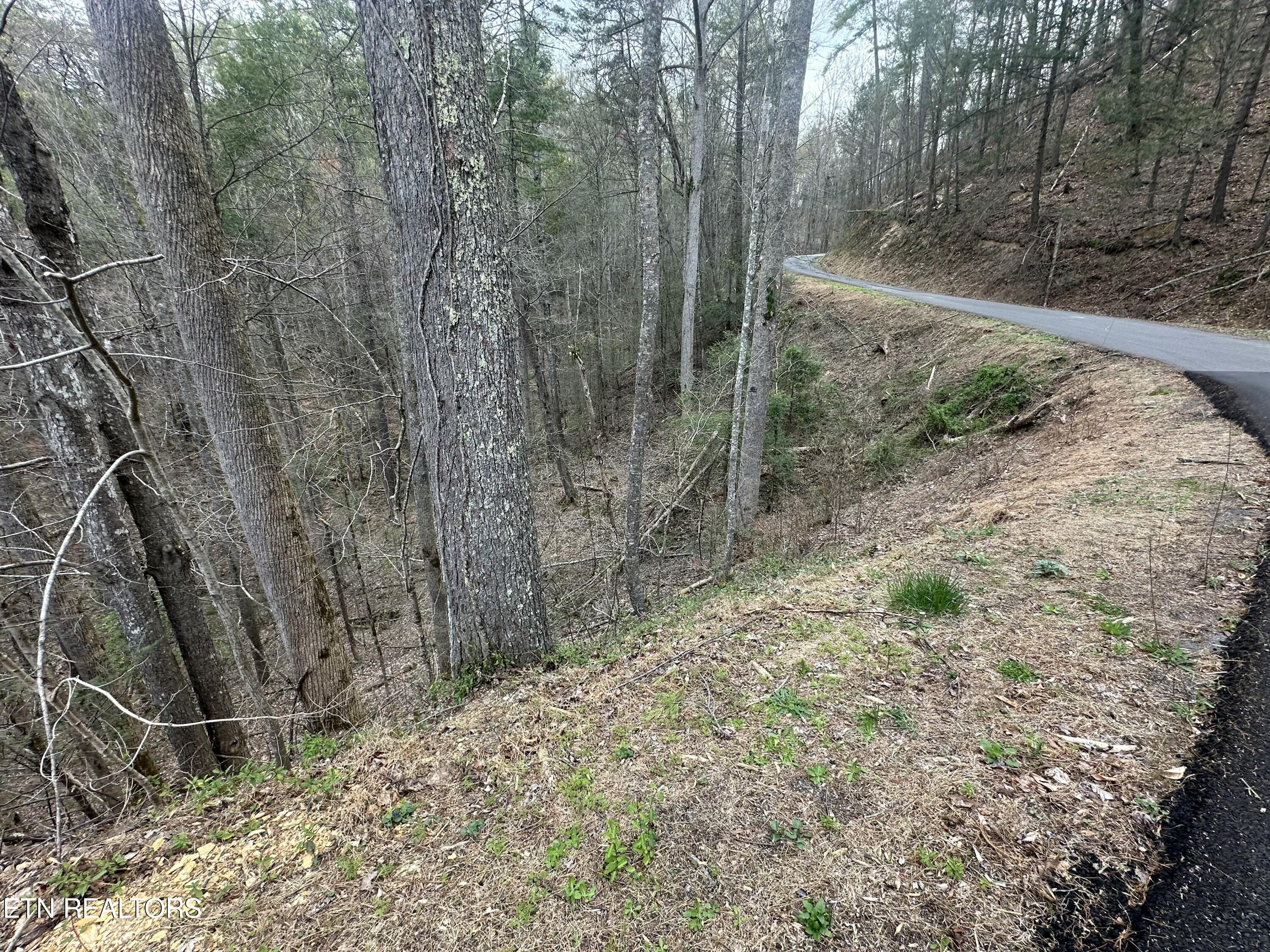 Headrick Lead Sevierville TN 37862
