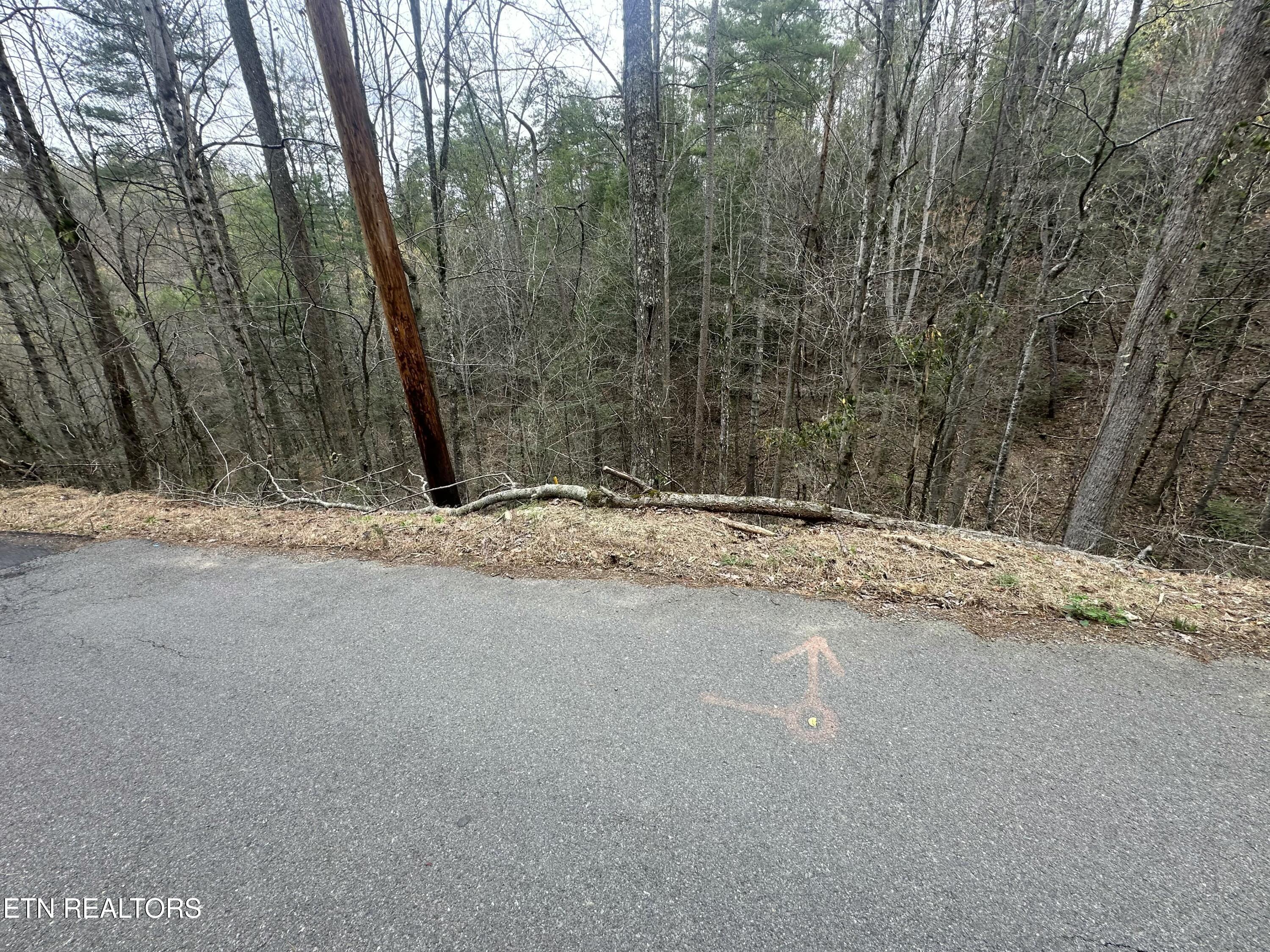 Headrick Lead Sevierville TN 37862