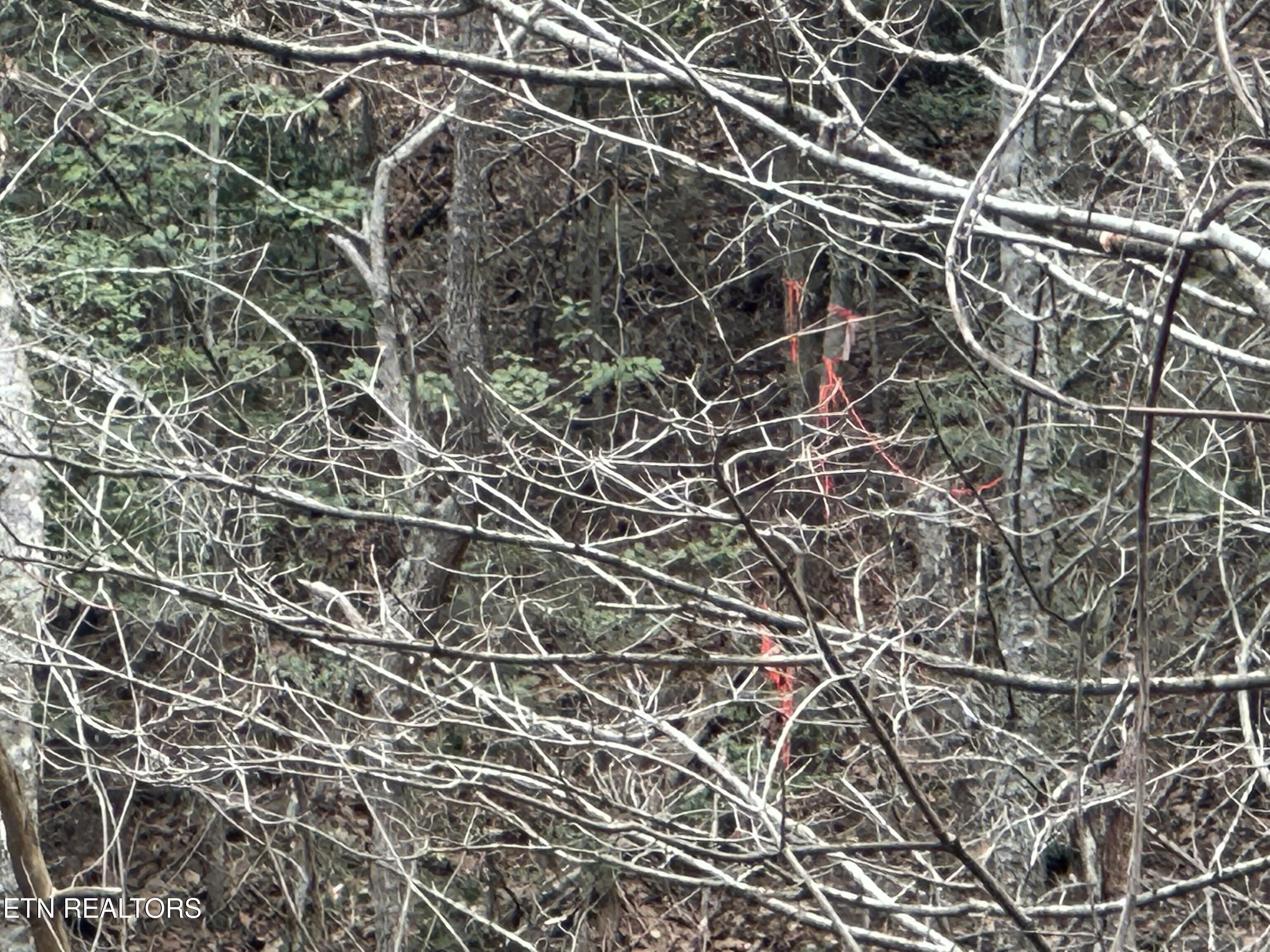 Headrick Lead Sevierville TN 37862