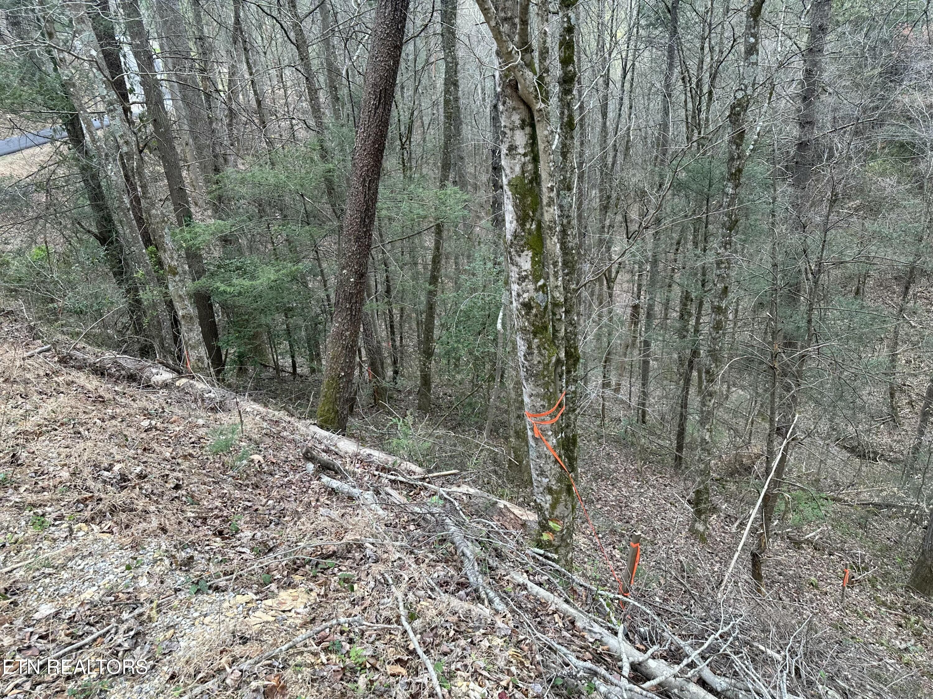 Headrick Lead Sevierville TN 37862