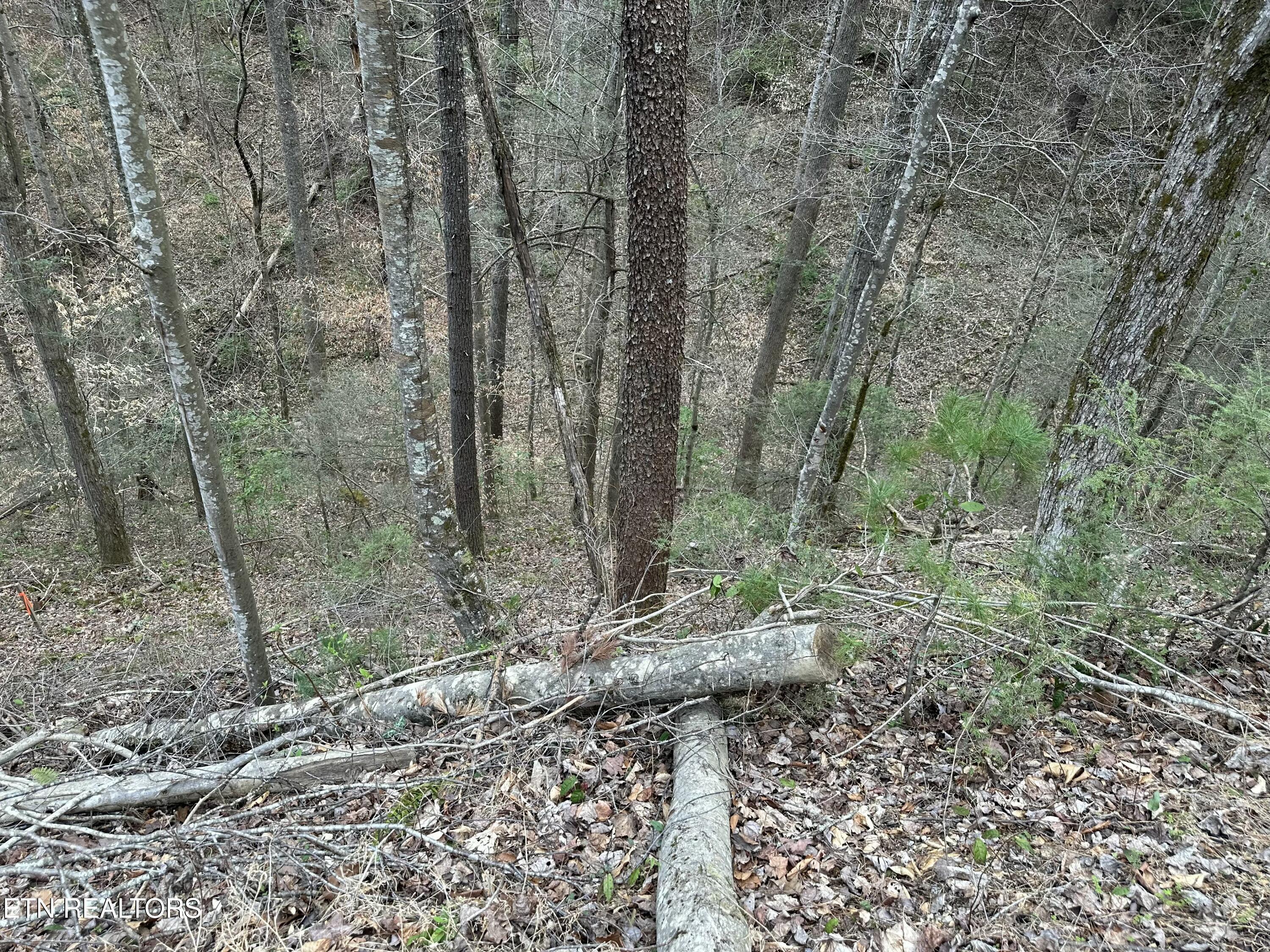 Headrick Lead Sevierville TN 37862