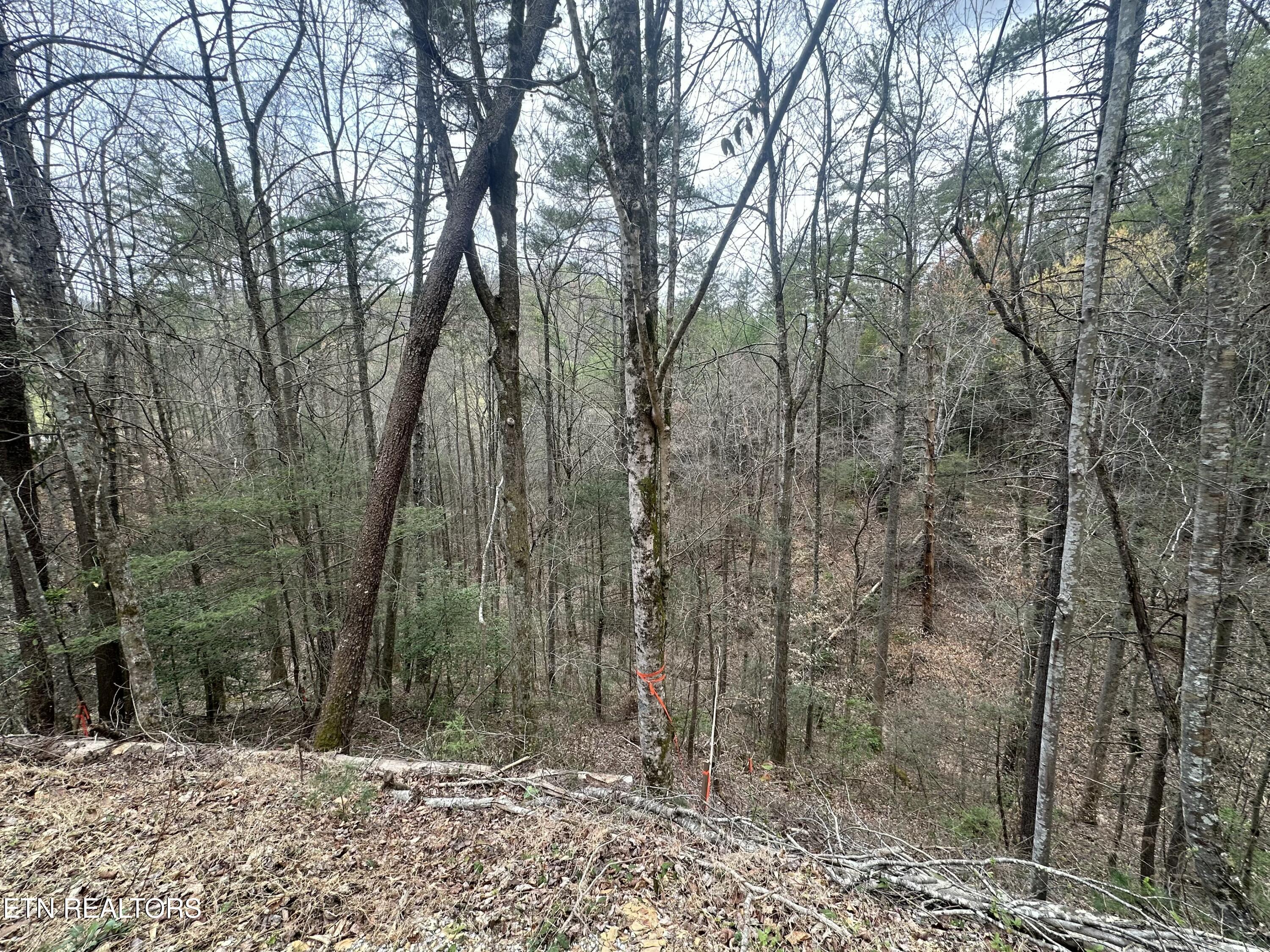 Headrick Lead Sevierville TN 37862