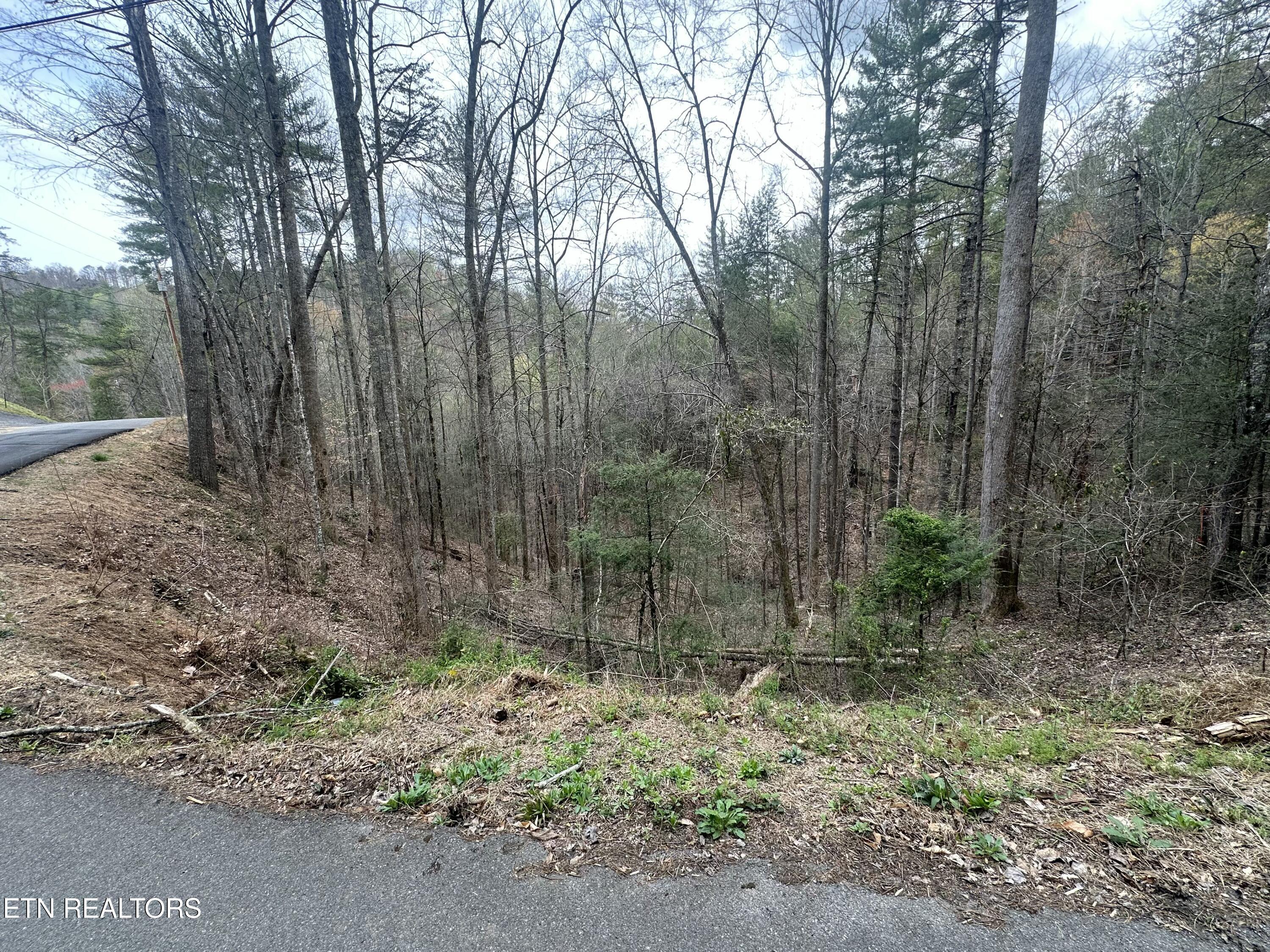 Headrick Lead Sevierville TN 37862