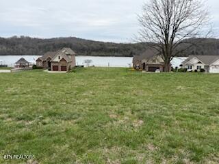 126 Cape Lookout Light Loudon TN 37774