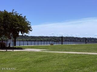 126 Cape Lookout Light Loudon TN 37774