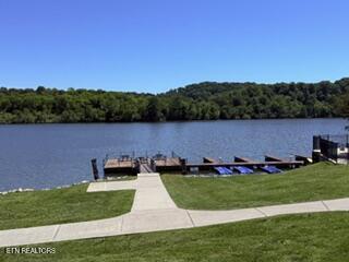 126 Cape Lookout Light Loudon TN 37774
