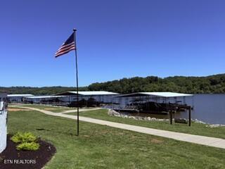126 Cape Lookout Light Loudon TN 37774