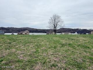 126 Cape Lookout Light Loudon TN 37774