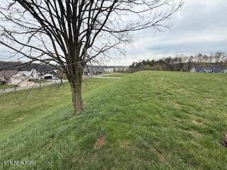 126 Cape Lookout Light Loudon TN 37774