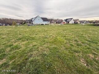 126 Cape Lookout Light Loudon TN 37774