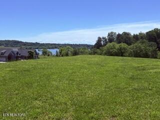 126 Cape Lookout Light Loudon TN 37774