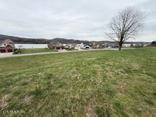 126 Cape Lookout Light Loudon TN 37774