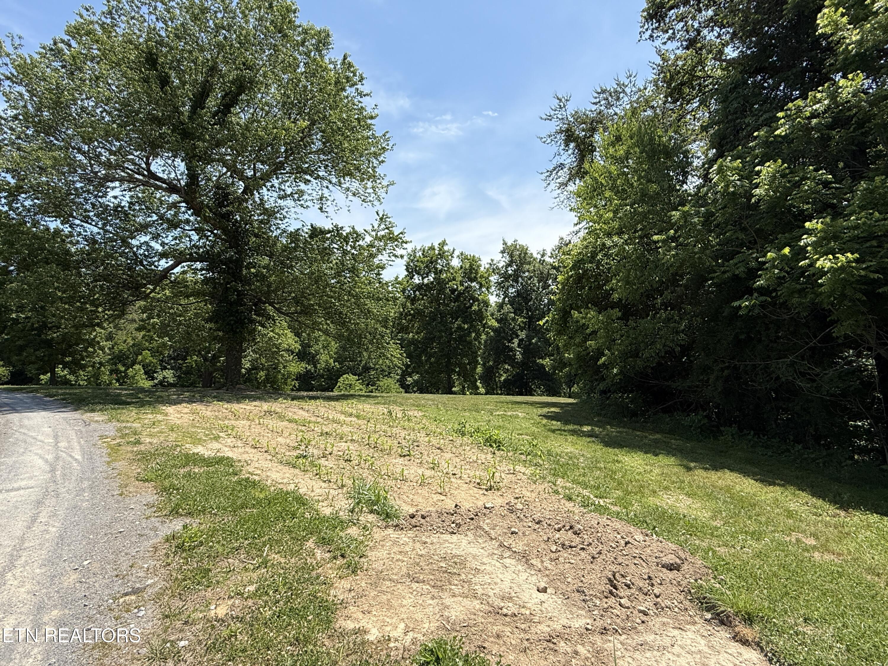 Richland Road Blaine TN 37709
