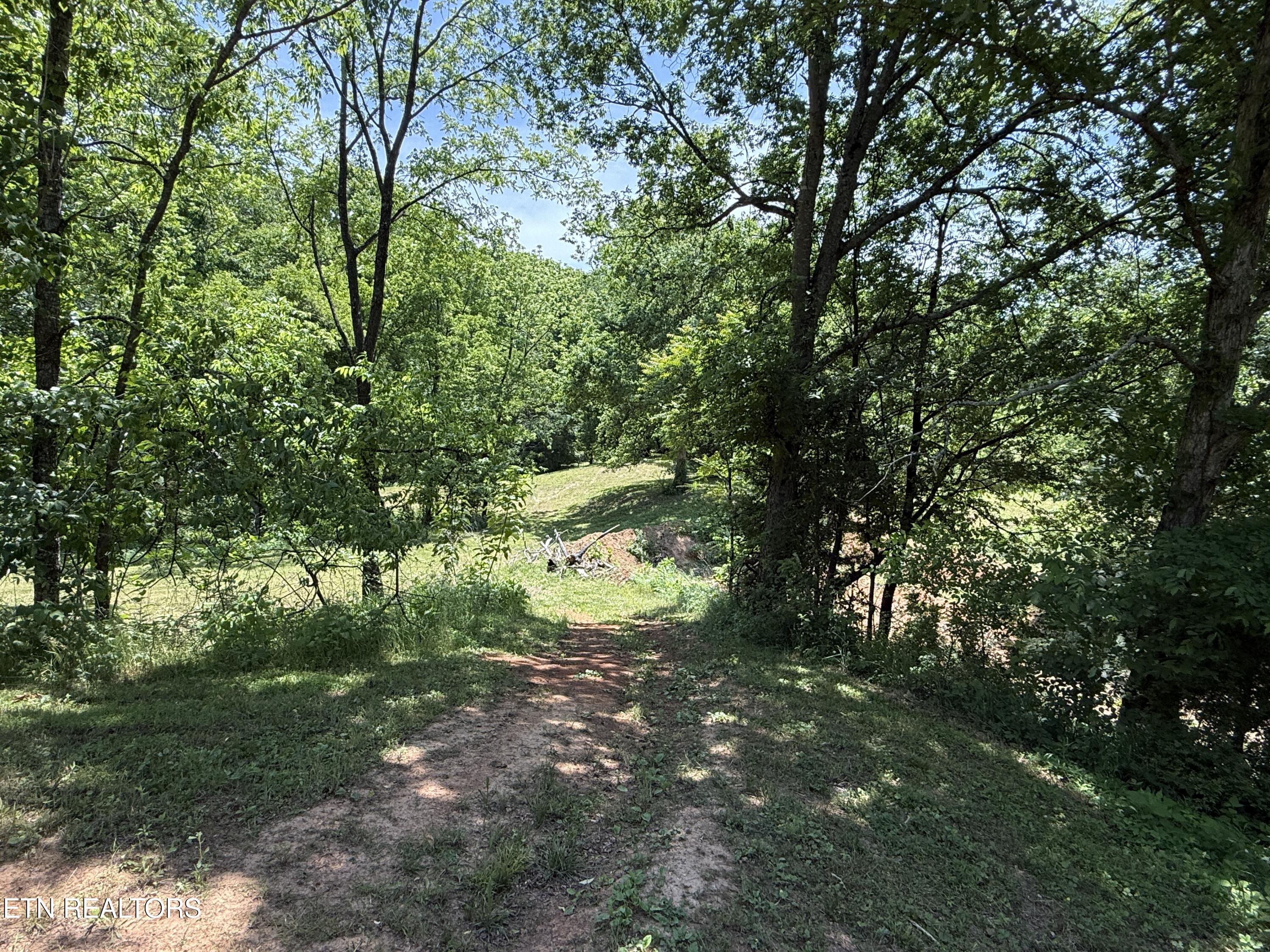Richland Road Blaine TN 37709