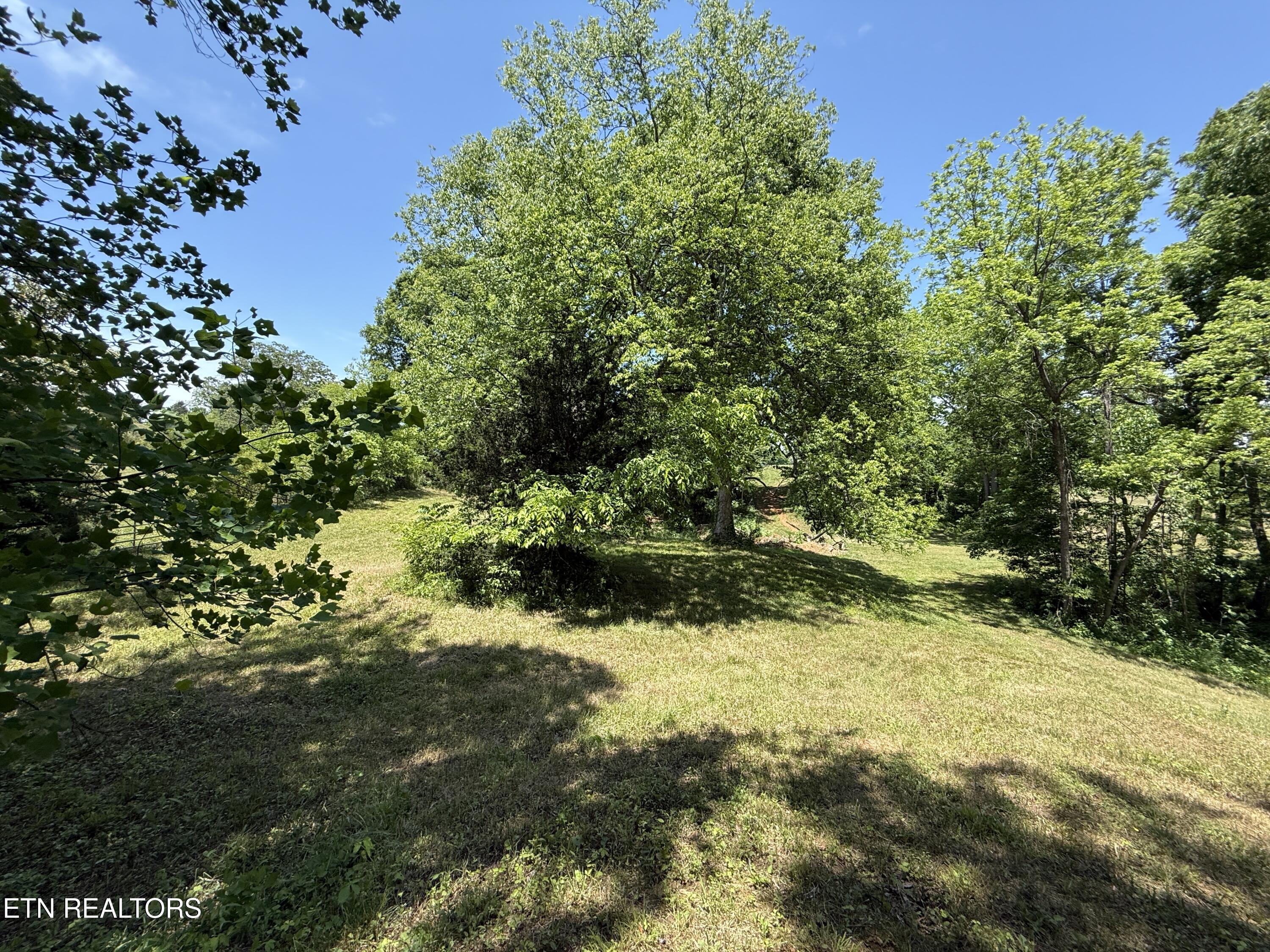 Richland Road Blaine TN 37709