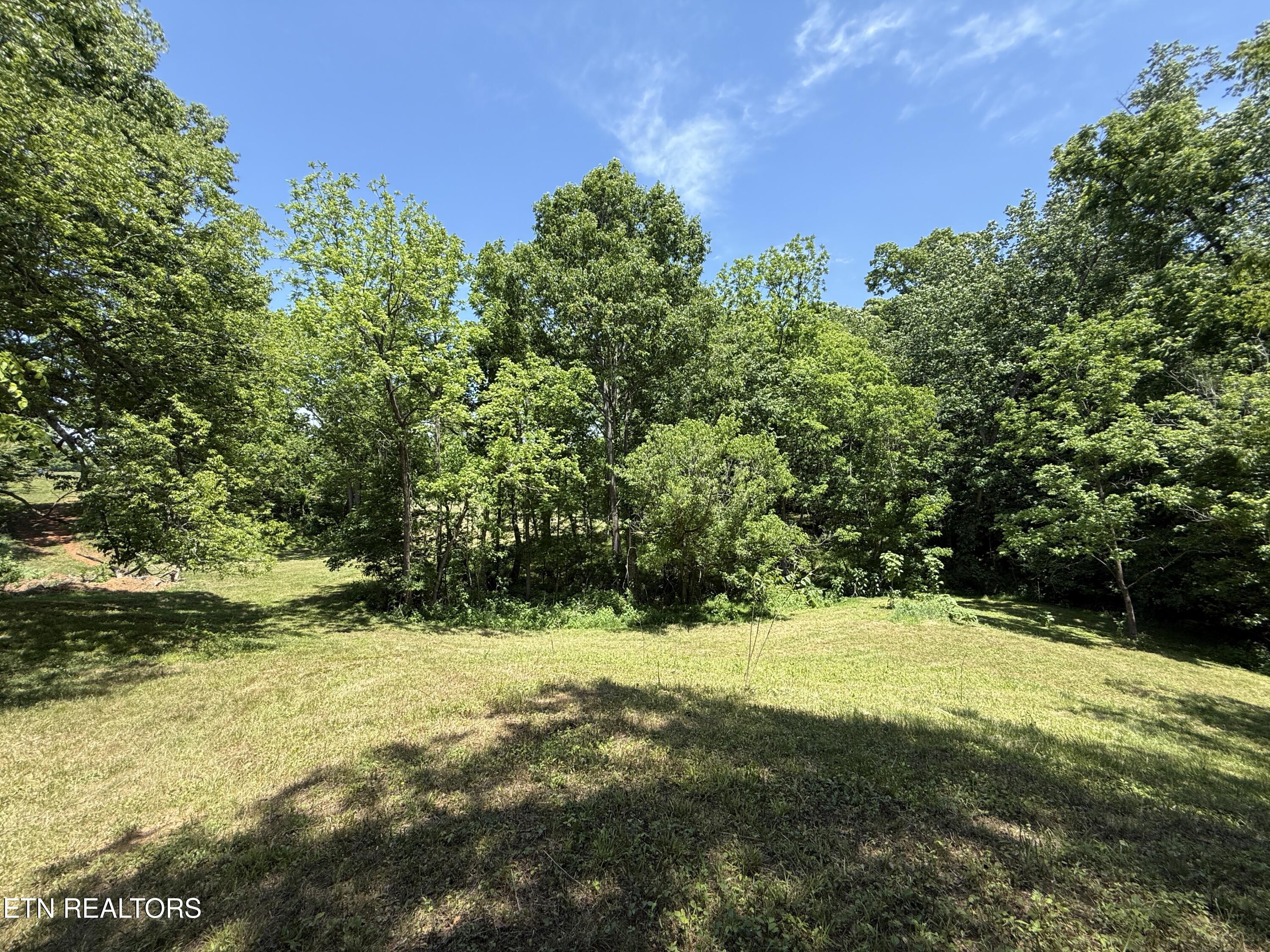 Richland Road Blaine TN 37709