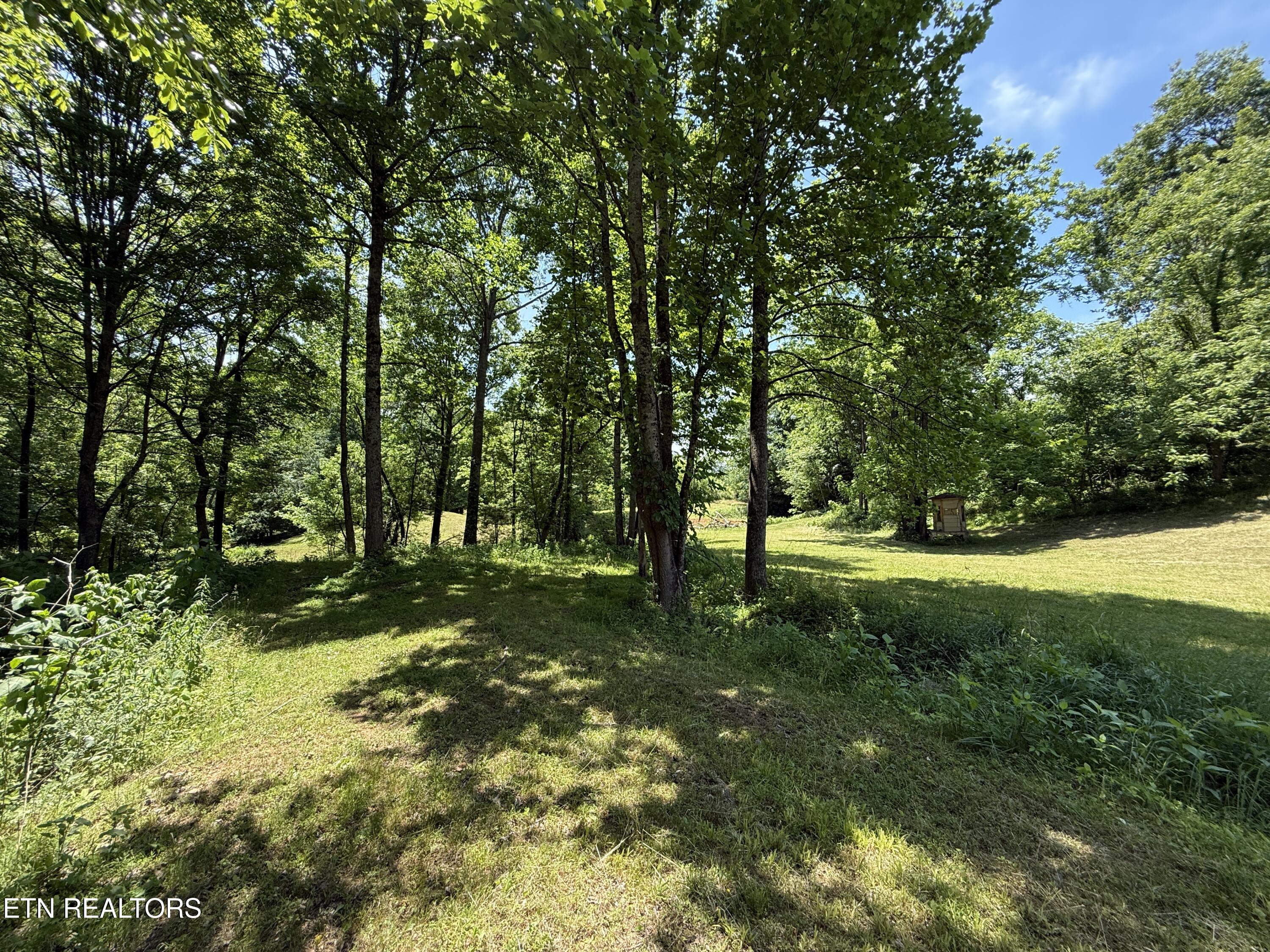 Richland Road Blaine TN 37709