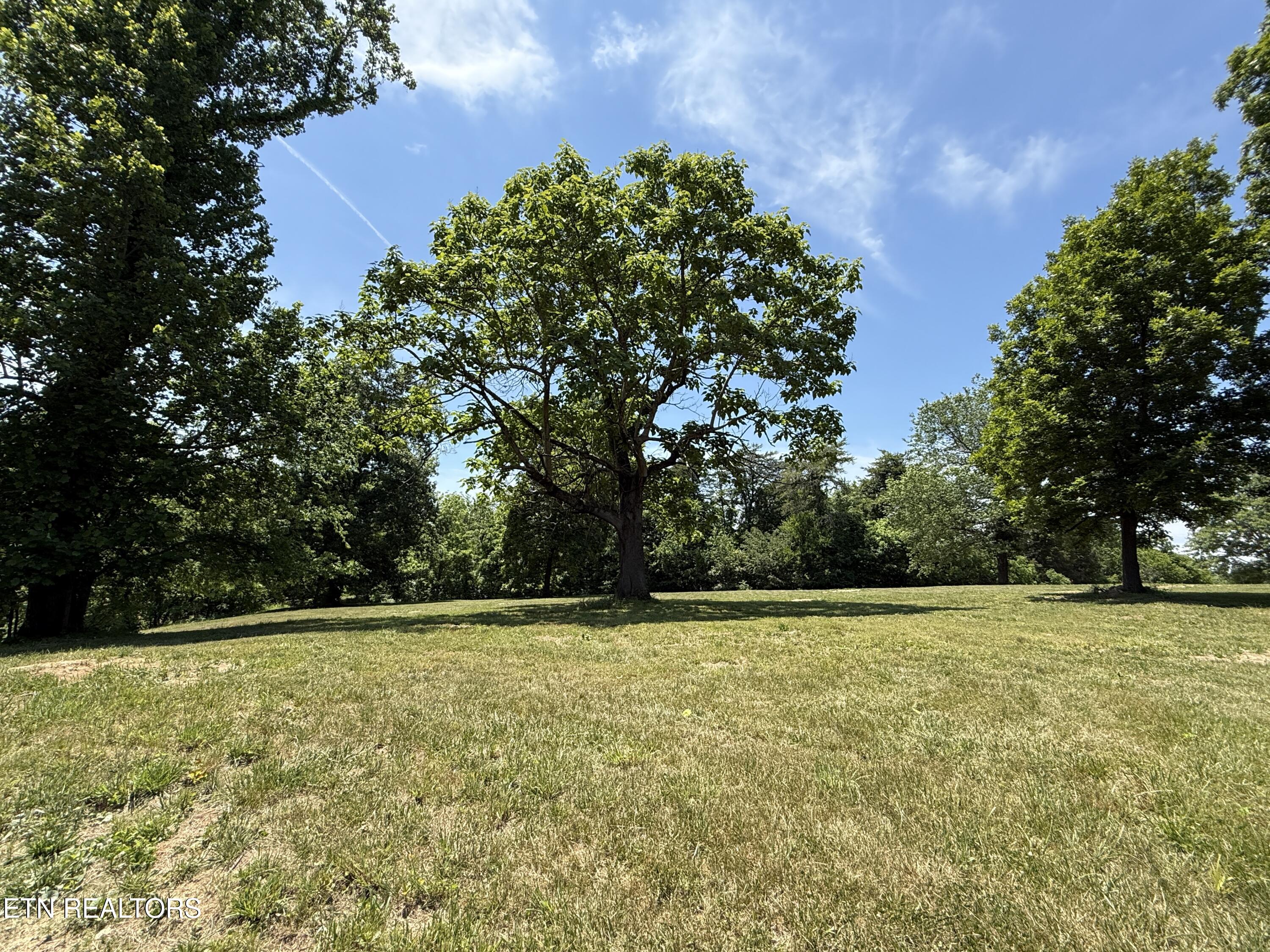 Richland Road Blaine TN 37709