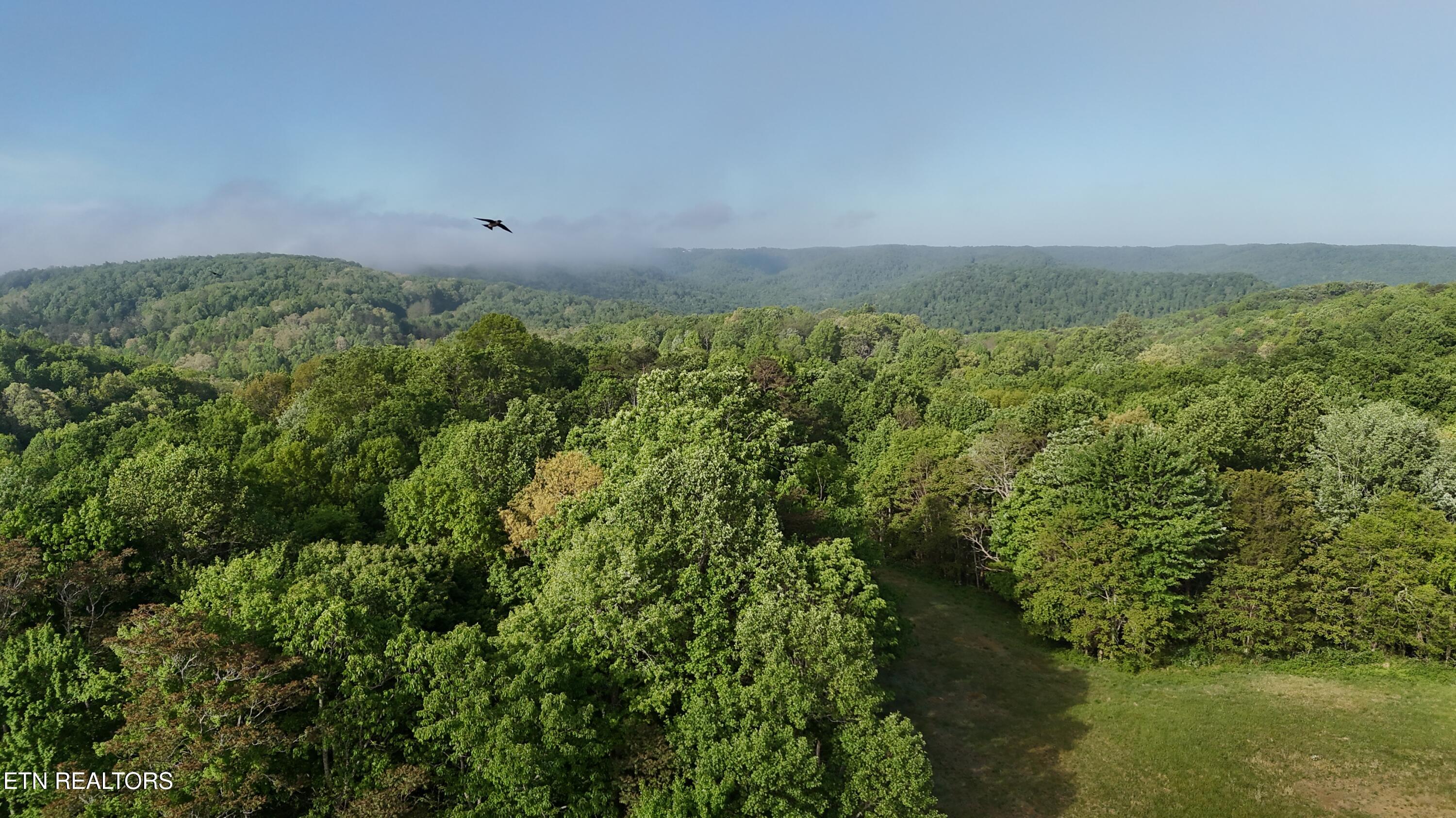 Murphy Road Crawford TN 38554