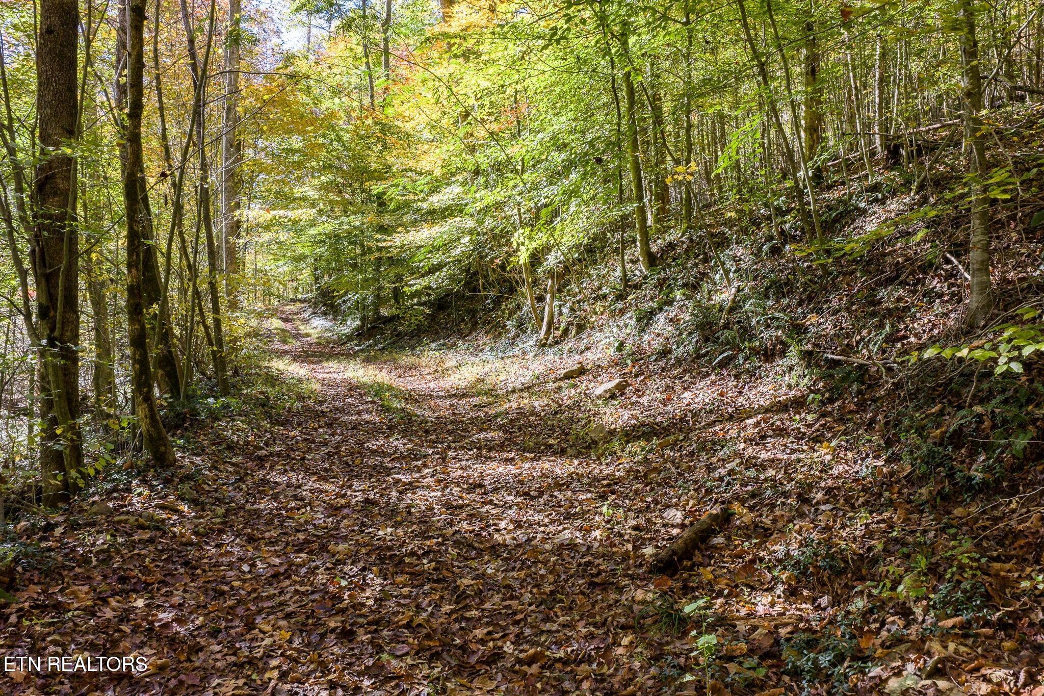 8450 Old Highway 28 Pikeville TN 37367