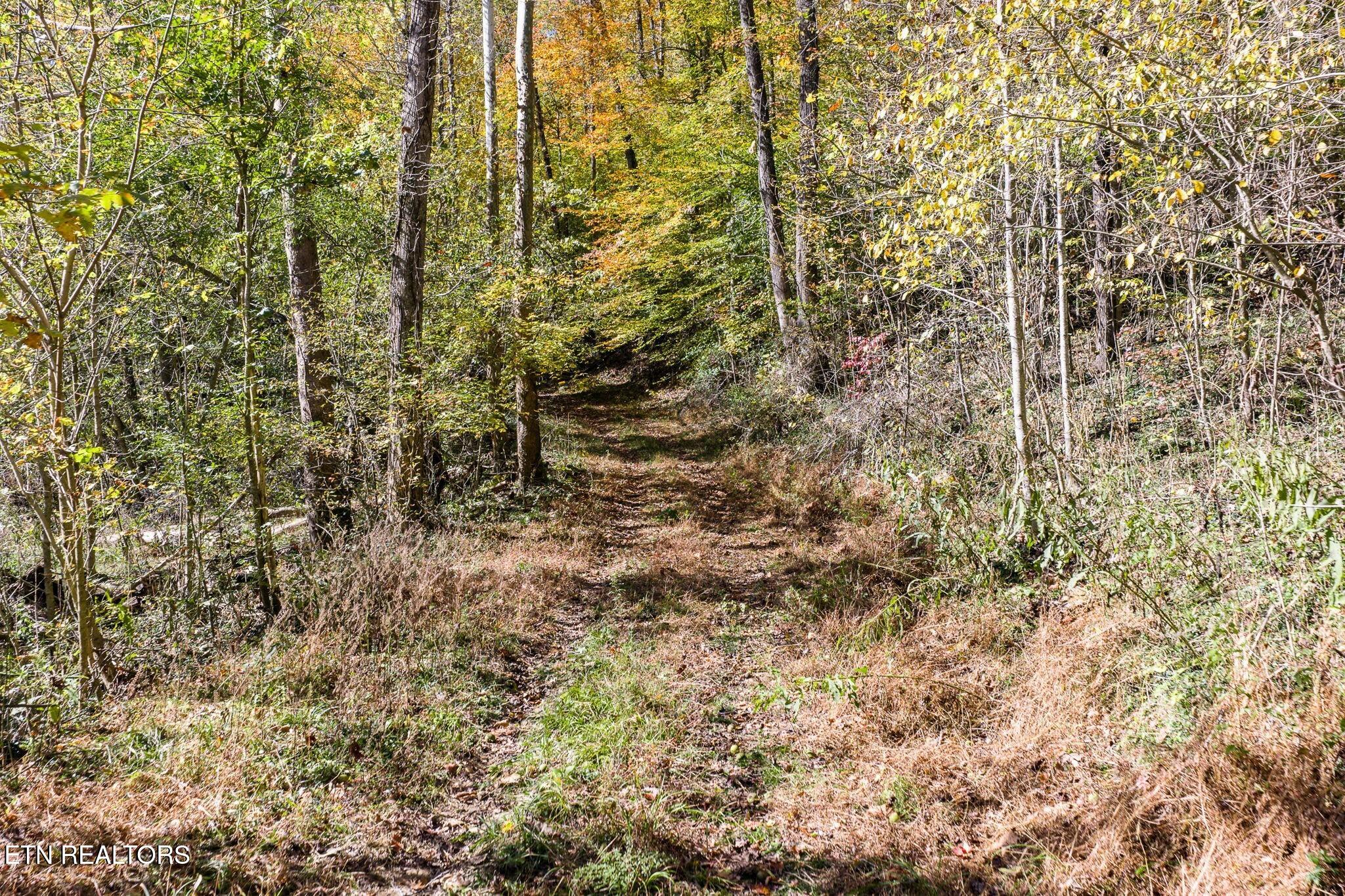 8450 Old Highway 28 Pikeville TN 37367