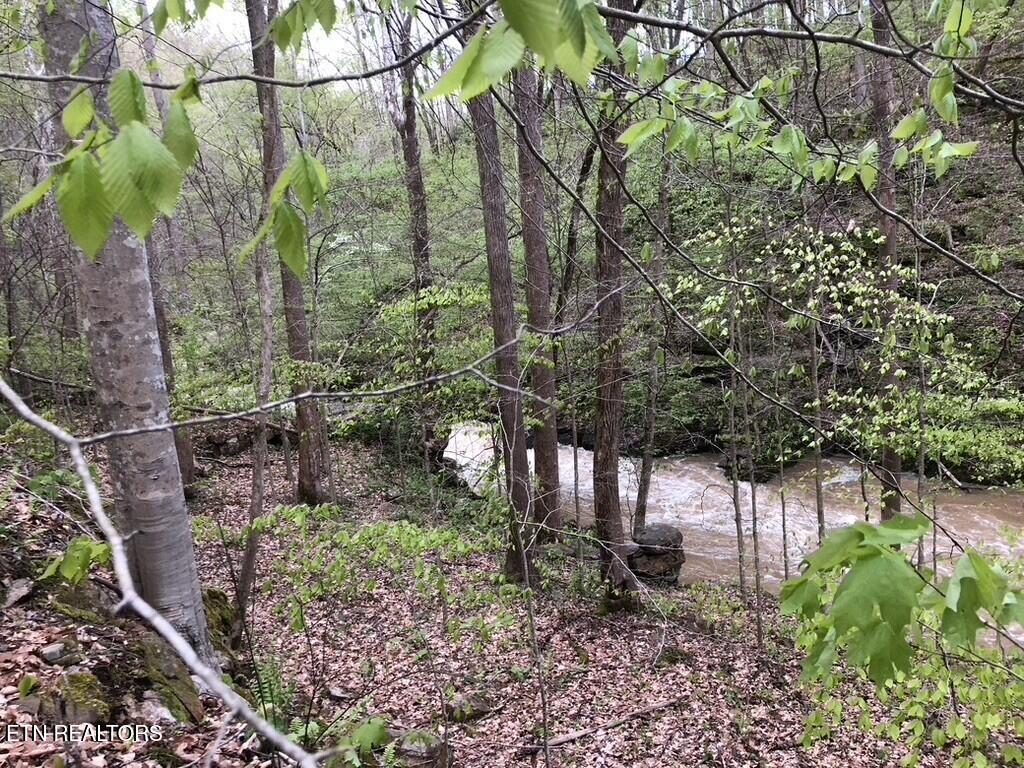 8450 Old Highway 28 Pikeville TN 37367