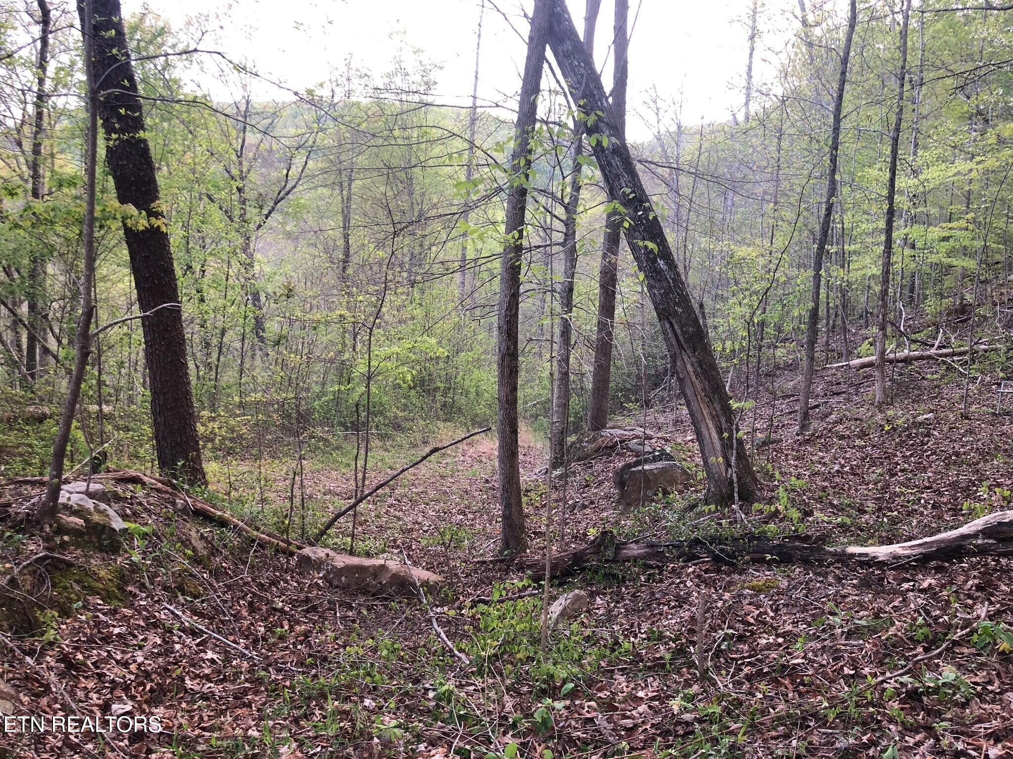 8450 Old Highway 28 Pikeville TN 37367
