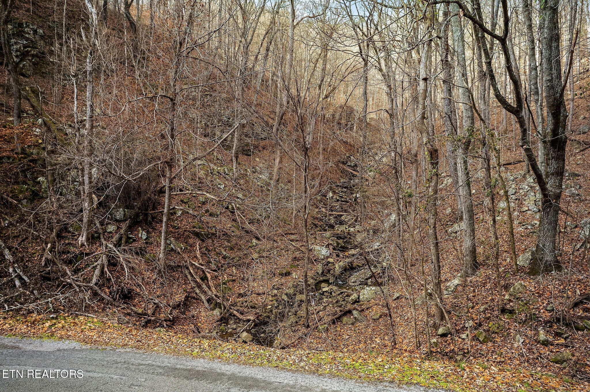 8450 Old Highway 28 Pikeville TN 37367