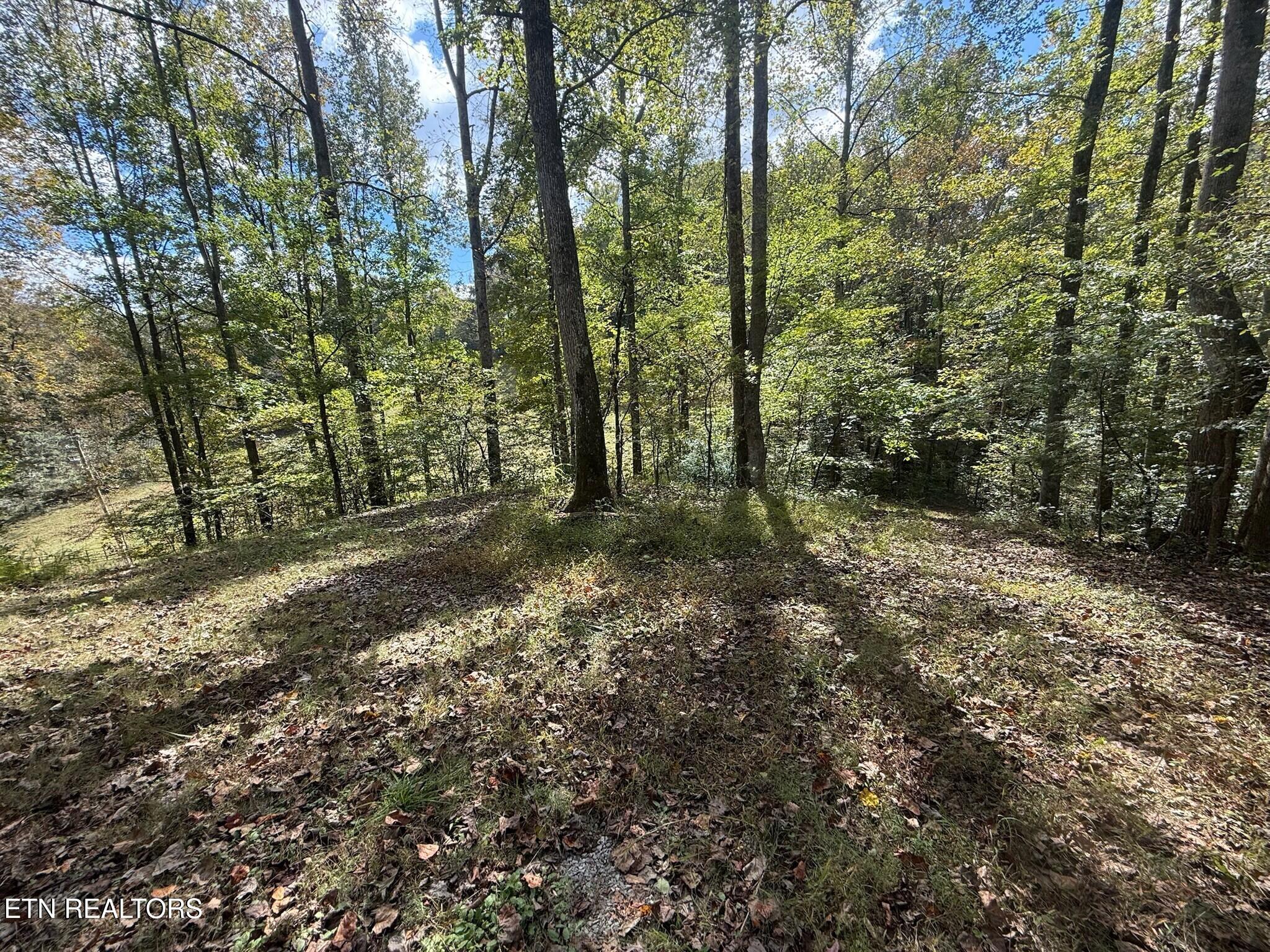 8450 Old Highway 28 Pikeville TN 37367
