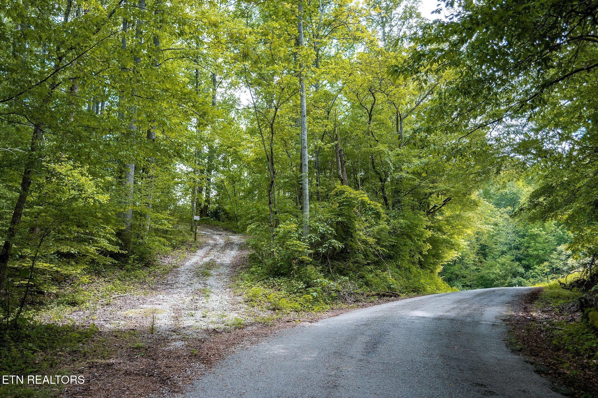 8450 Old Highway 28 Pikeville TN 37367