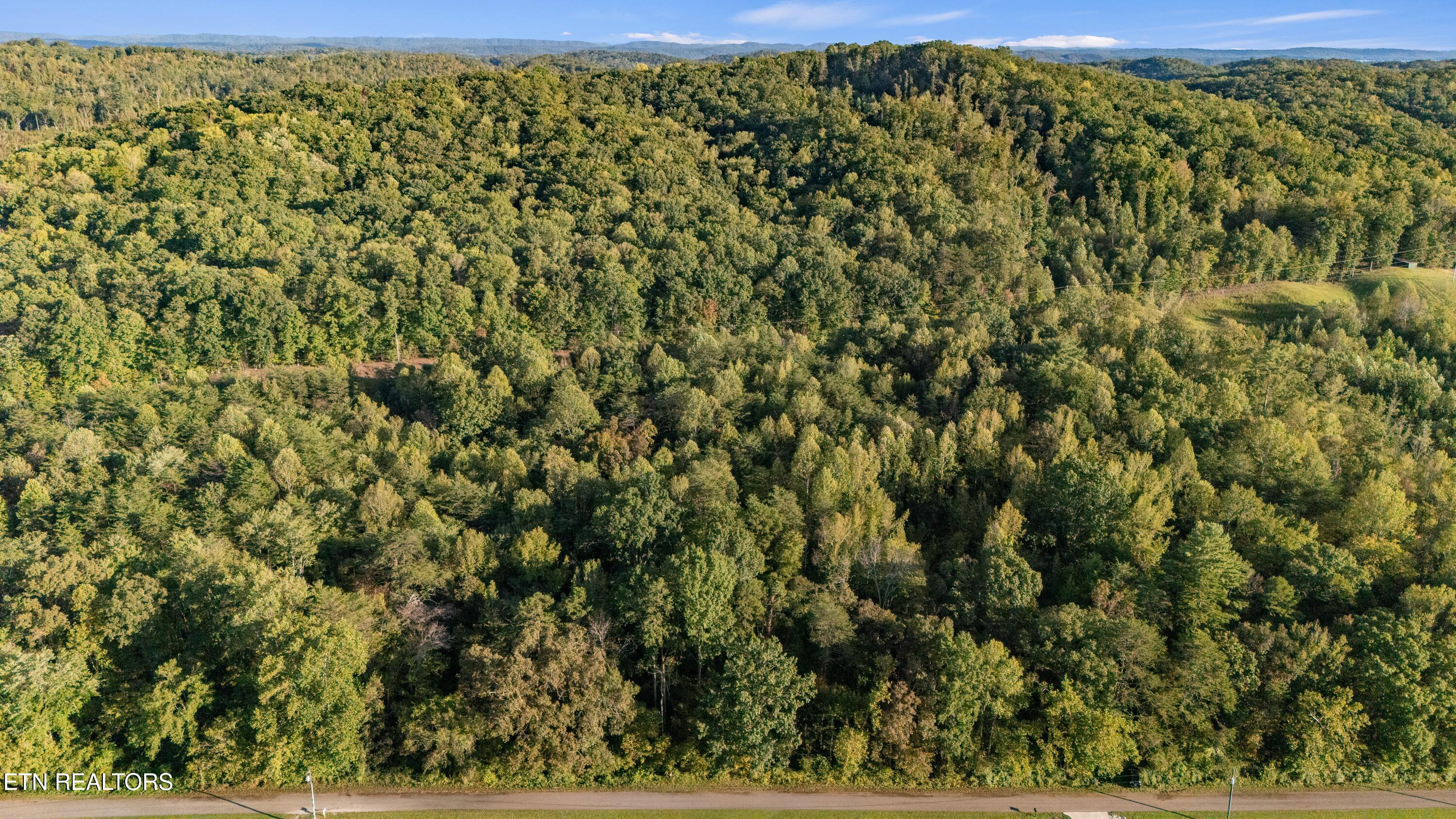 Waldo Road Rockwood TN 37854
