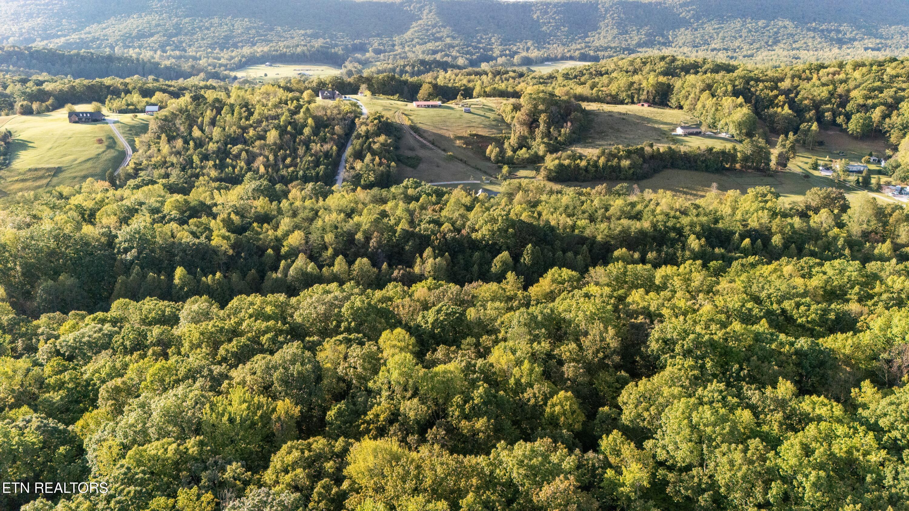 Waldo Road Rockwood TN 37854