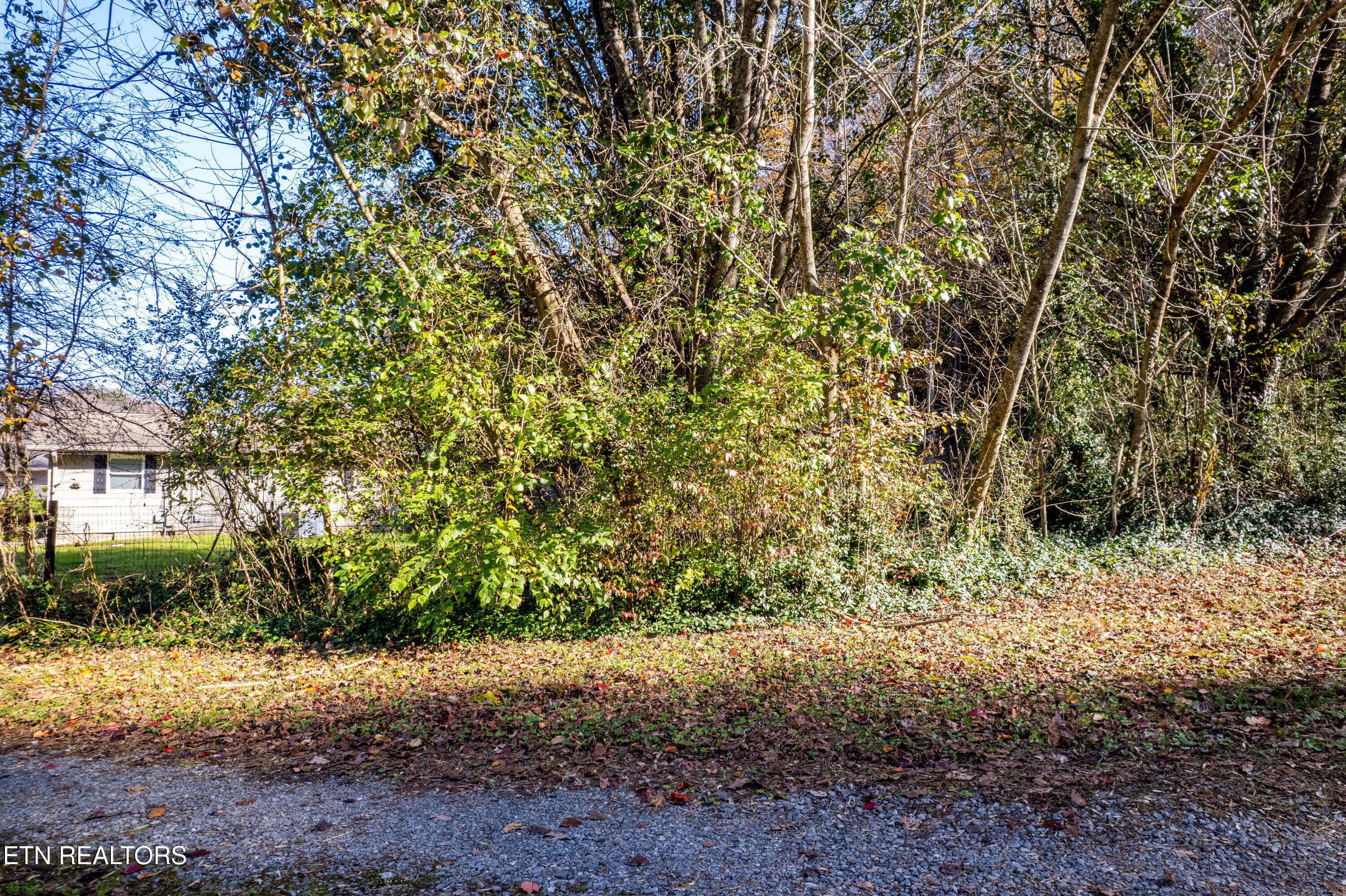 W Millers Cove Road Walland TN 37886