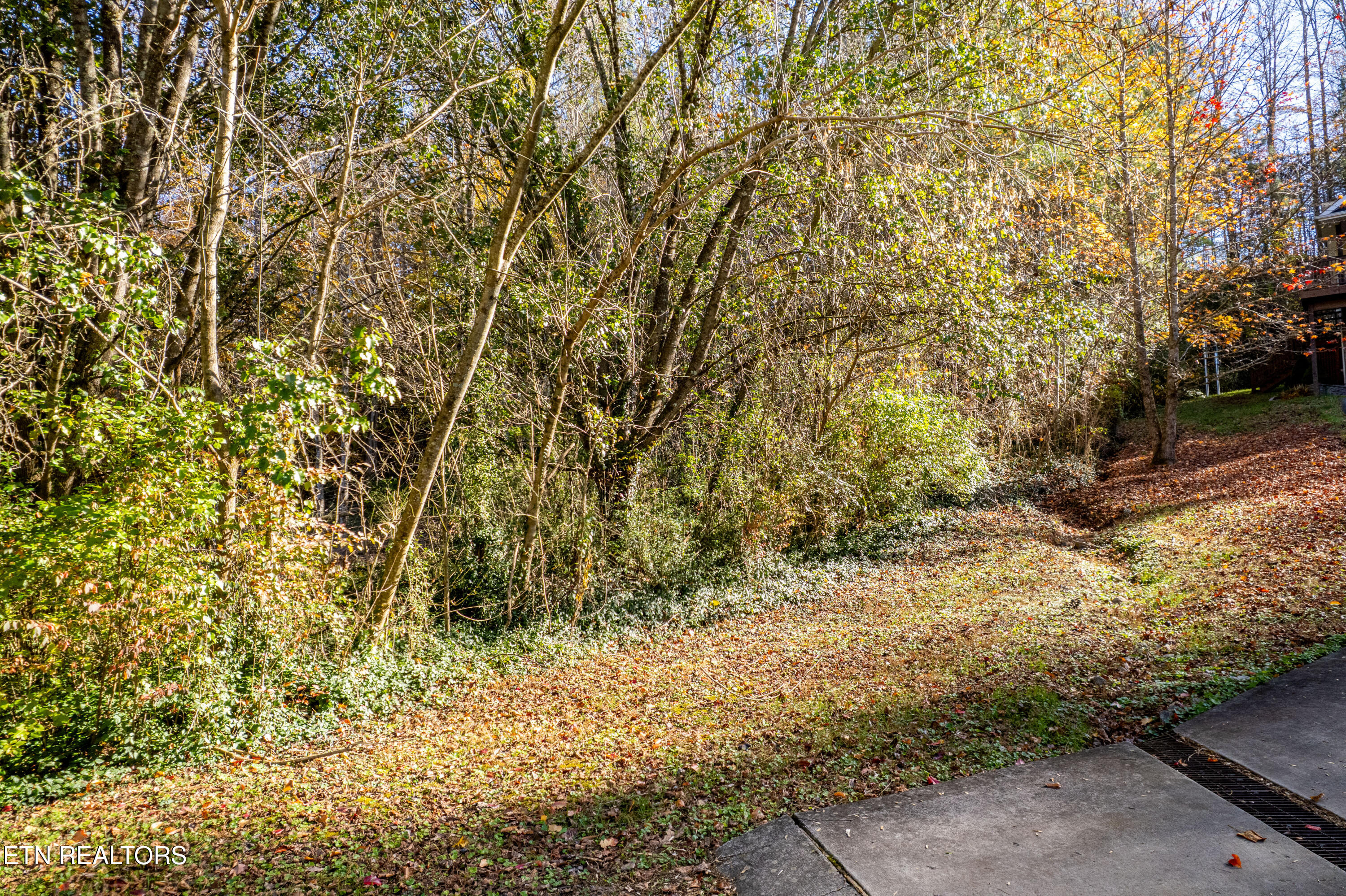 W Millers Cove Road Walland TN 37886