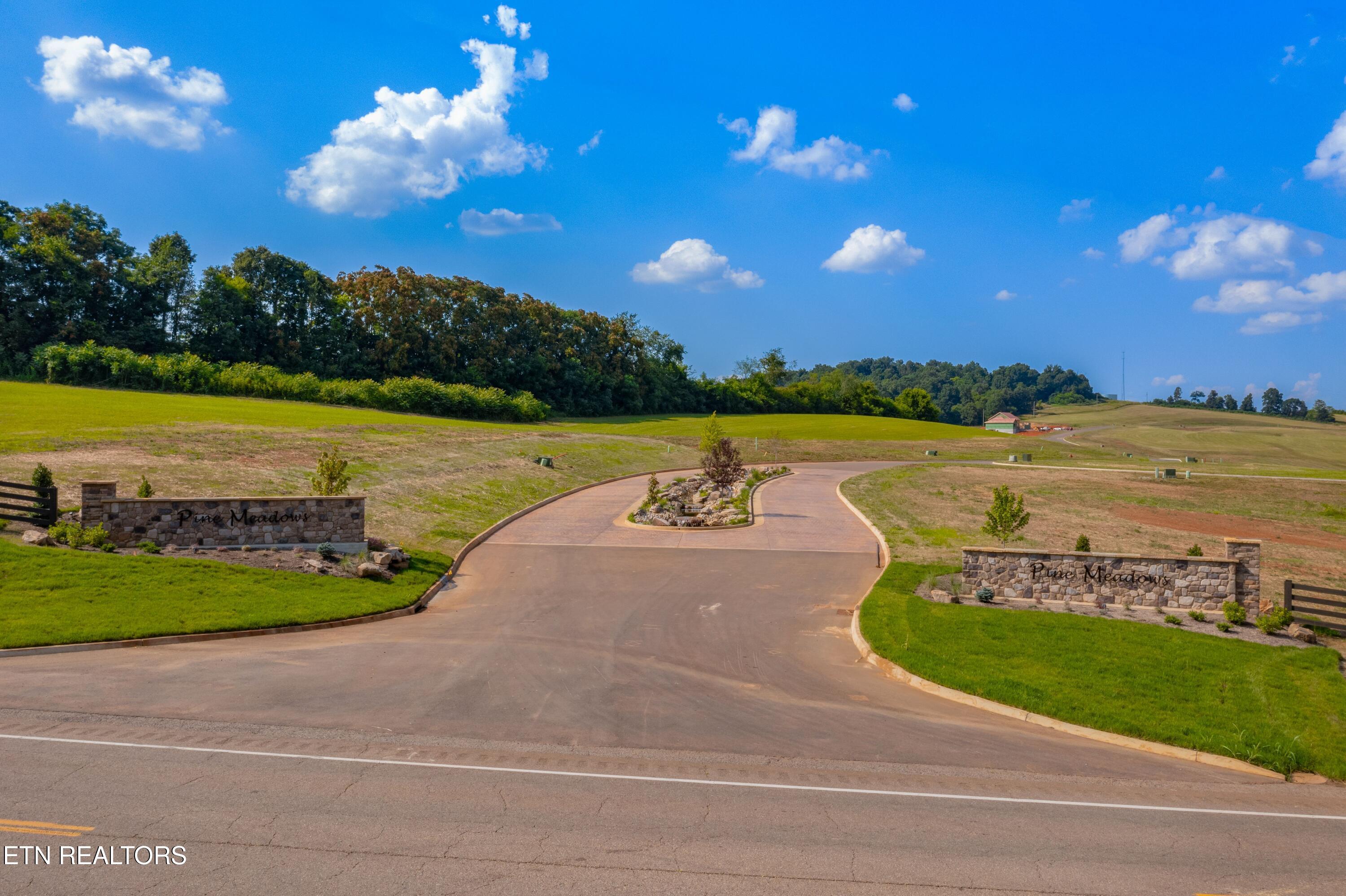 Lot 76 Meadow Rose Drive White Pine TN 37890