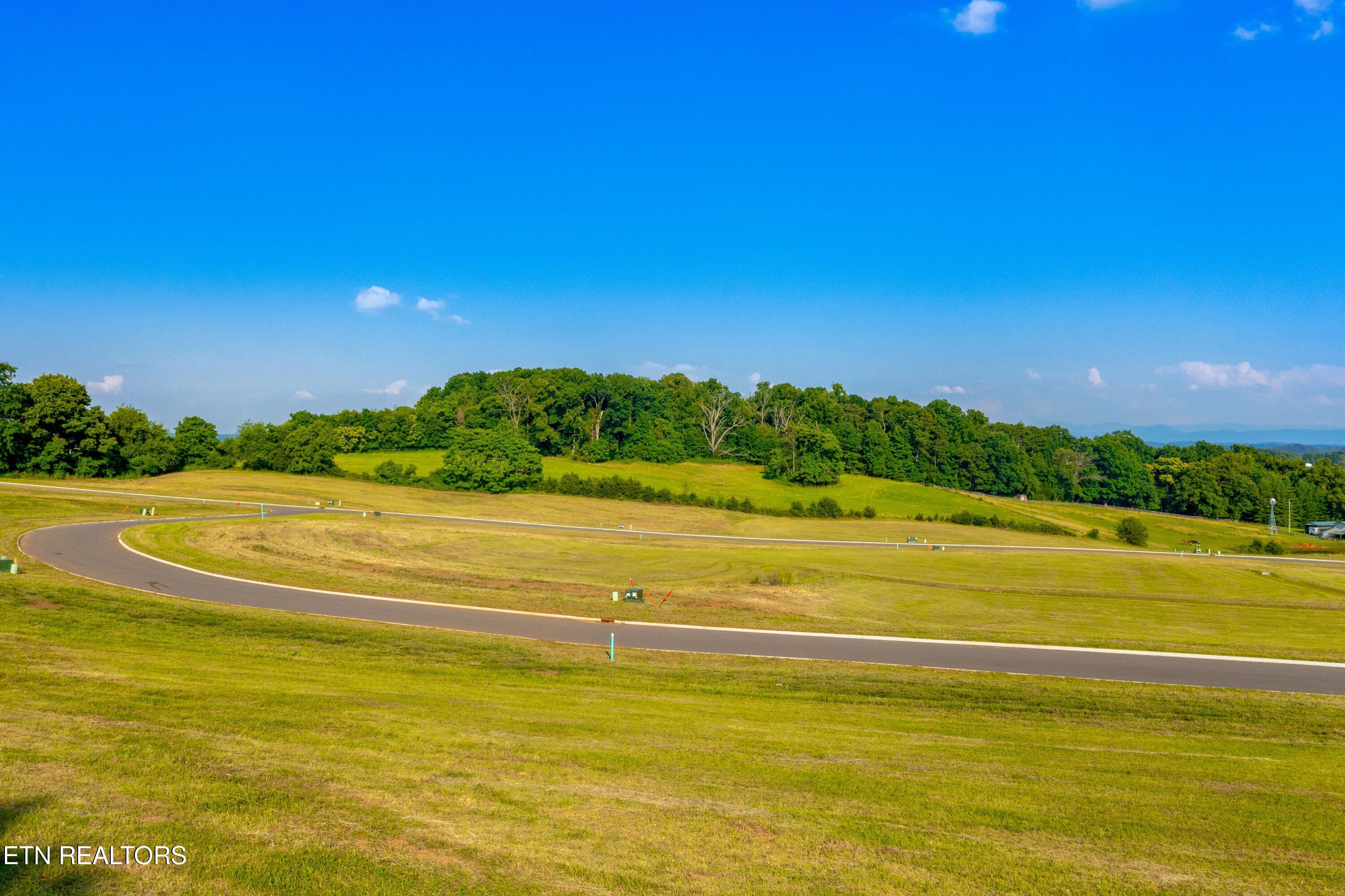 Lot 76 Meadow Rose Drive White Pine TN 37890