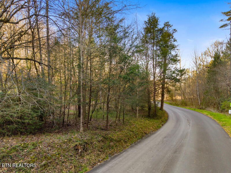 Lot 3r Obes Branch Road Sevierville TN 37876