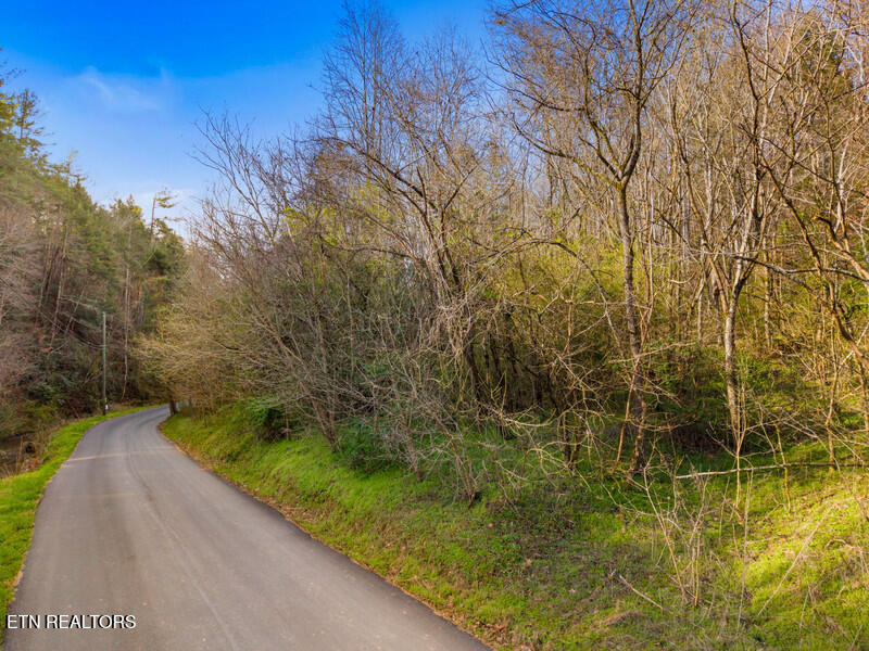 Lot 3r Obes Branch Road Sevierville TN 37876