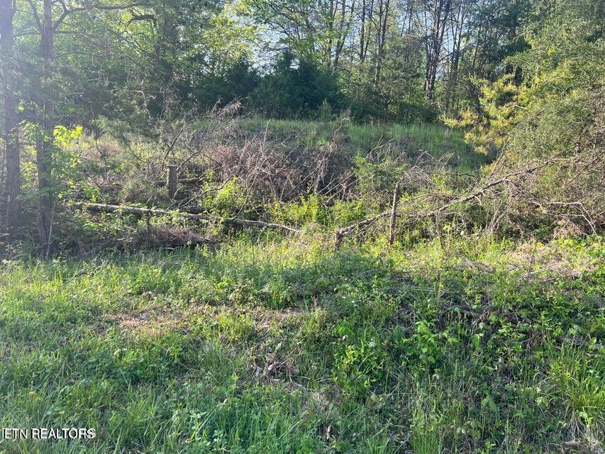 Vardy Blackwater Road Sneedville TN 37869