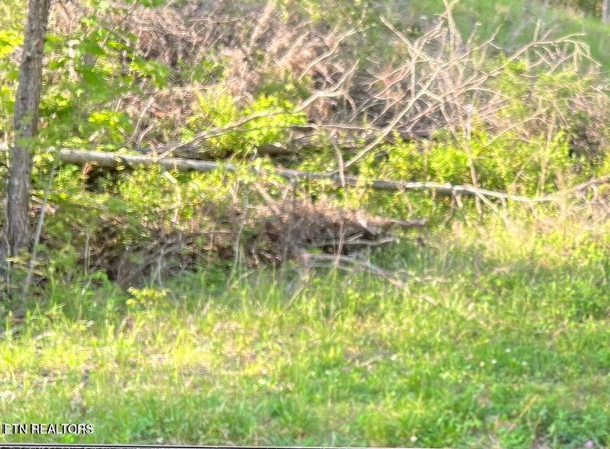 Vardy Blackwater Road Sneedville TN 37869